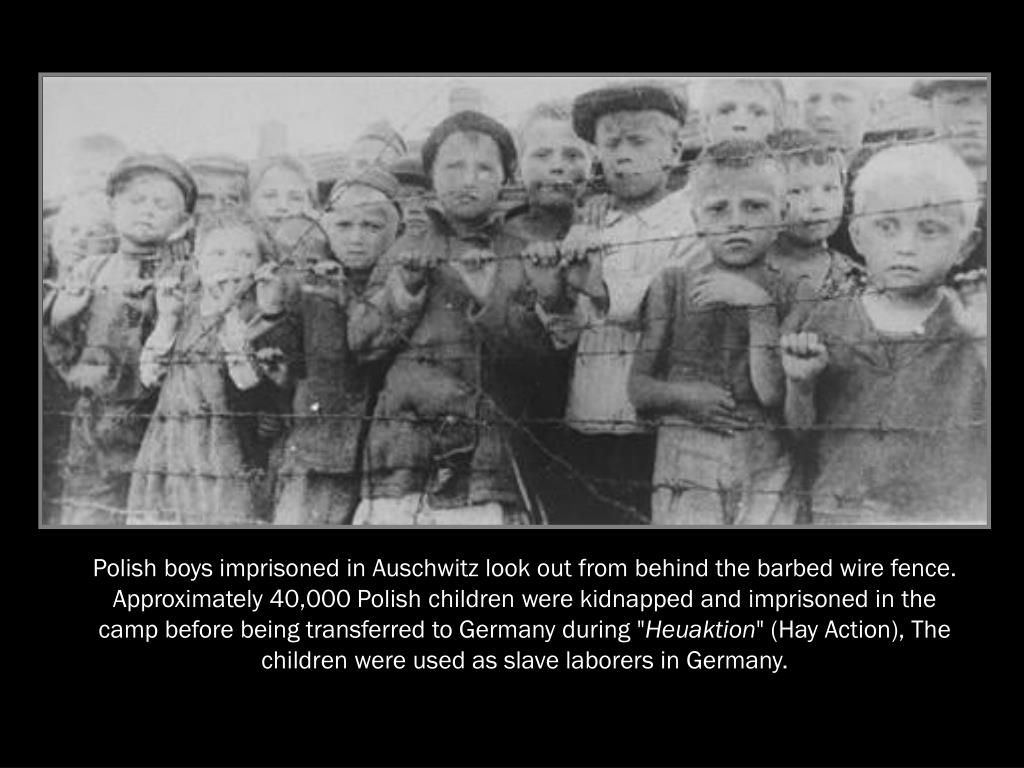 PPT The Holocaust PowerPoint Presentation, free download ID6135470
