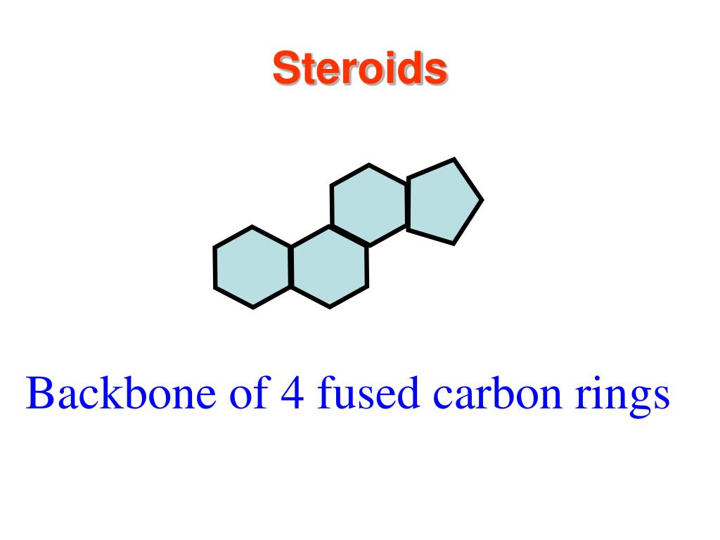 PPT Lipids Long Term Energy Storage PowerPoint Presentation, free