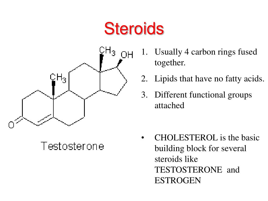 PPT Lipids Long Term Energy Storage PowerPoint Presentation, free