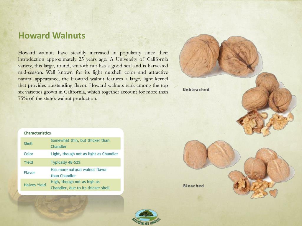 PPT CALIFORNIAN WALNUTS PowerPoint Presentation, free download ID