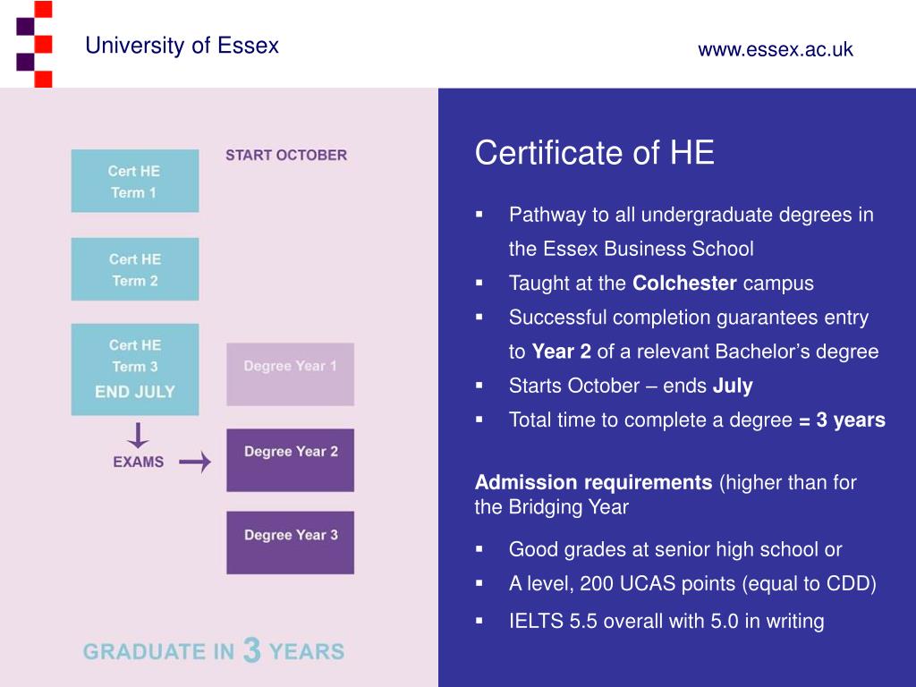 PPT Undergraduate foundation courses at Essex Your pathway to success