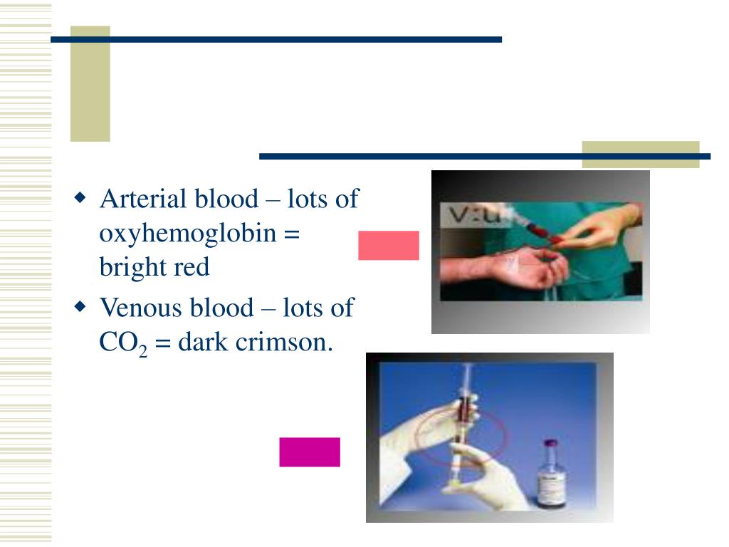 PPT Hematology PowerPoint Presentation, free download ID6142407