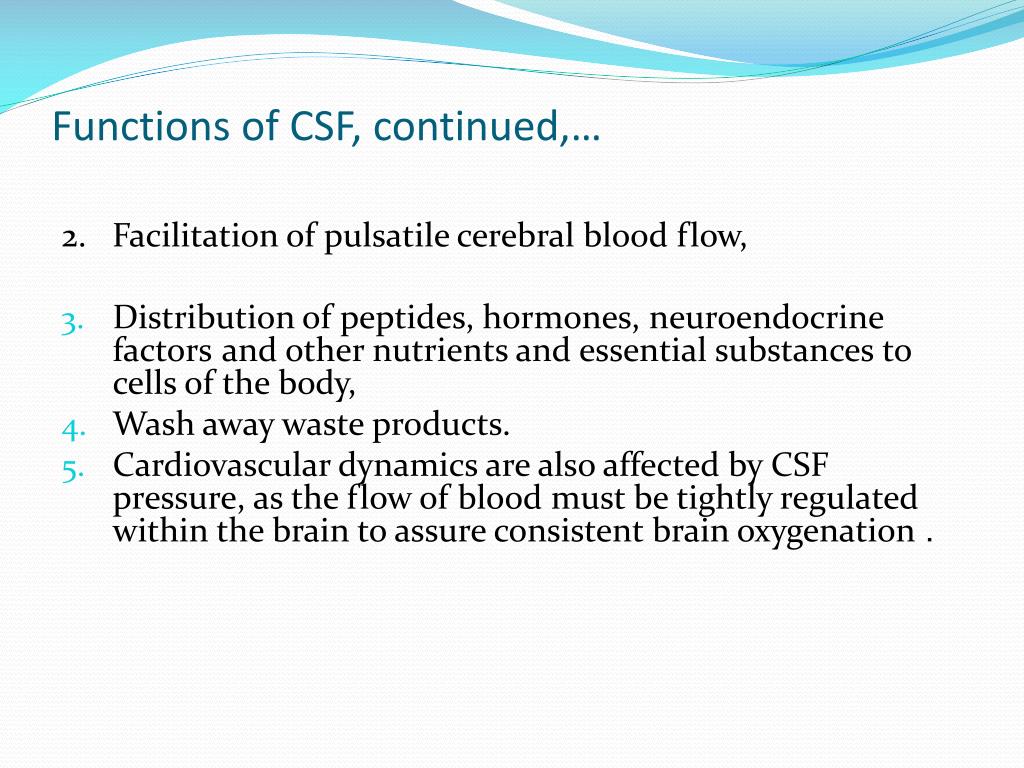 PPT Cerebral circulation & CSF formation PowerPoint Presentation ID
