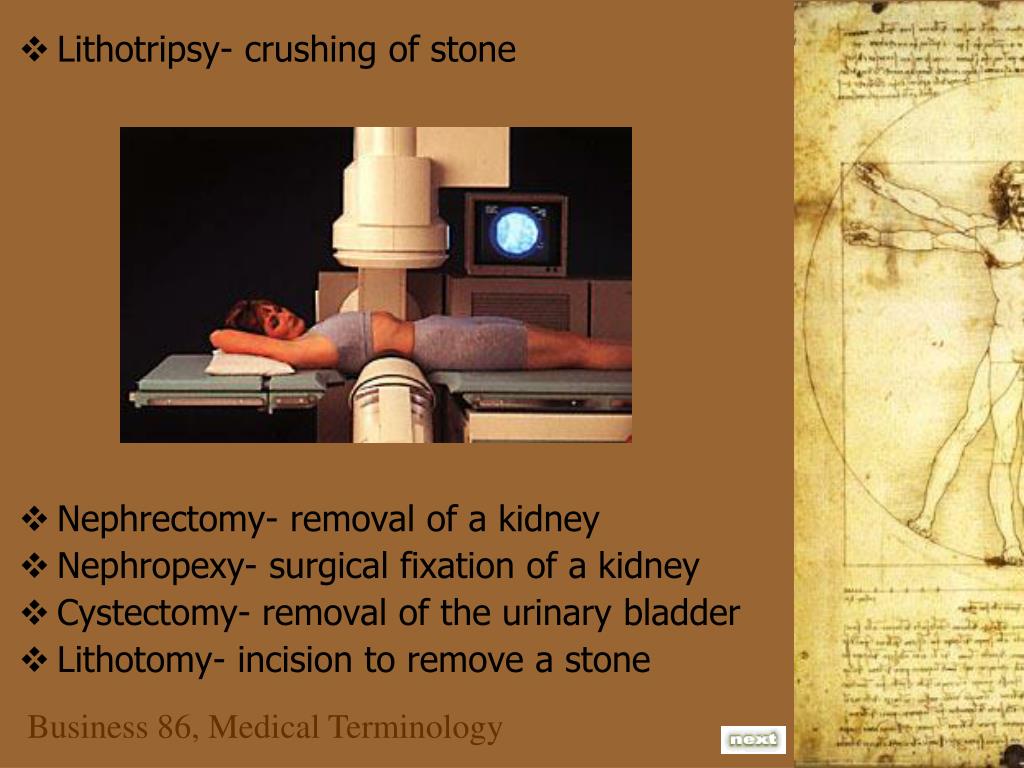 PPT Week 12 Overview PowerPoint Presentation, free download ID6161009