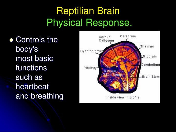 PPT The Psychological Aftermath of Critical Incidents