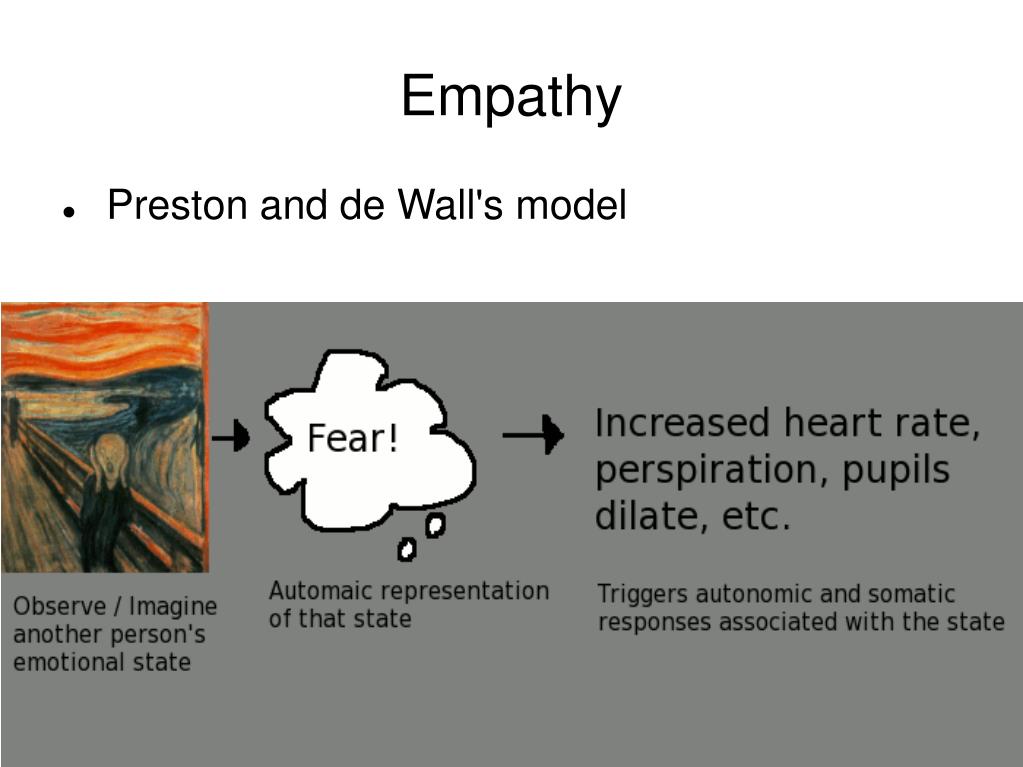 PPT Empathy for Pain Involves the Affective but not Sensory