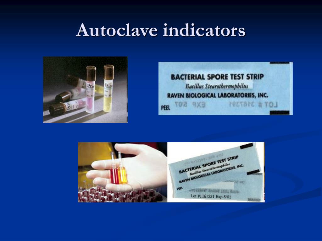 PPT AHS II Infection Control PowerPoint Presentation, free download