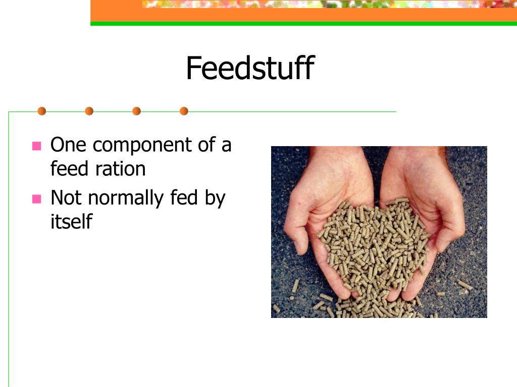 What Is Feedstuff In Animal Husbandry at Tiffany Richardson blog