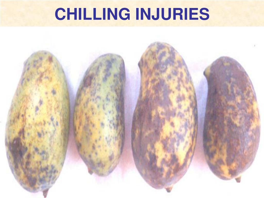 PPT Postharvest Losses of Fruits and Vegetables PowerPoint