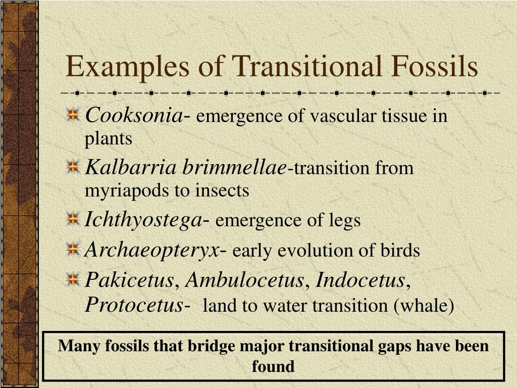PPT Transitional Fossils PowerPoint Presentation, free download ID