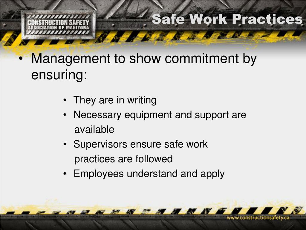 PPT Principles of Safety Management PowerPoint Presentation, free