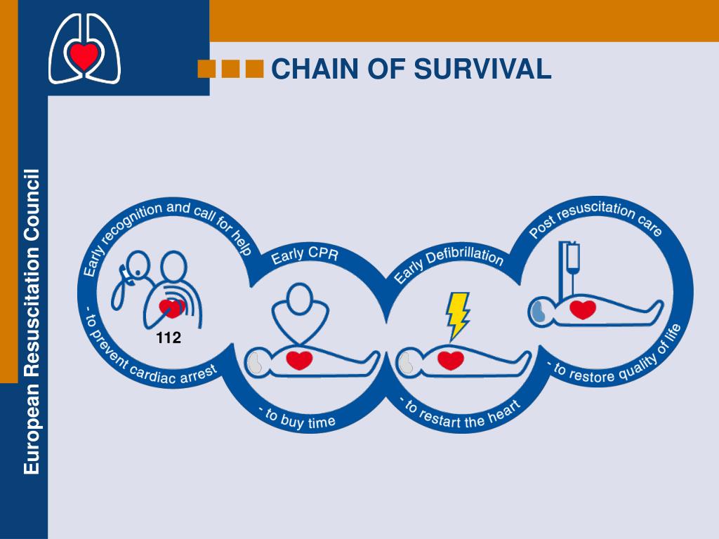 PPT Basic Life Support & Automated External Defibrillation Course