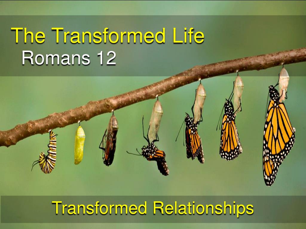 PPT The Transformed Life PowerPoint Presentation, free download ID