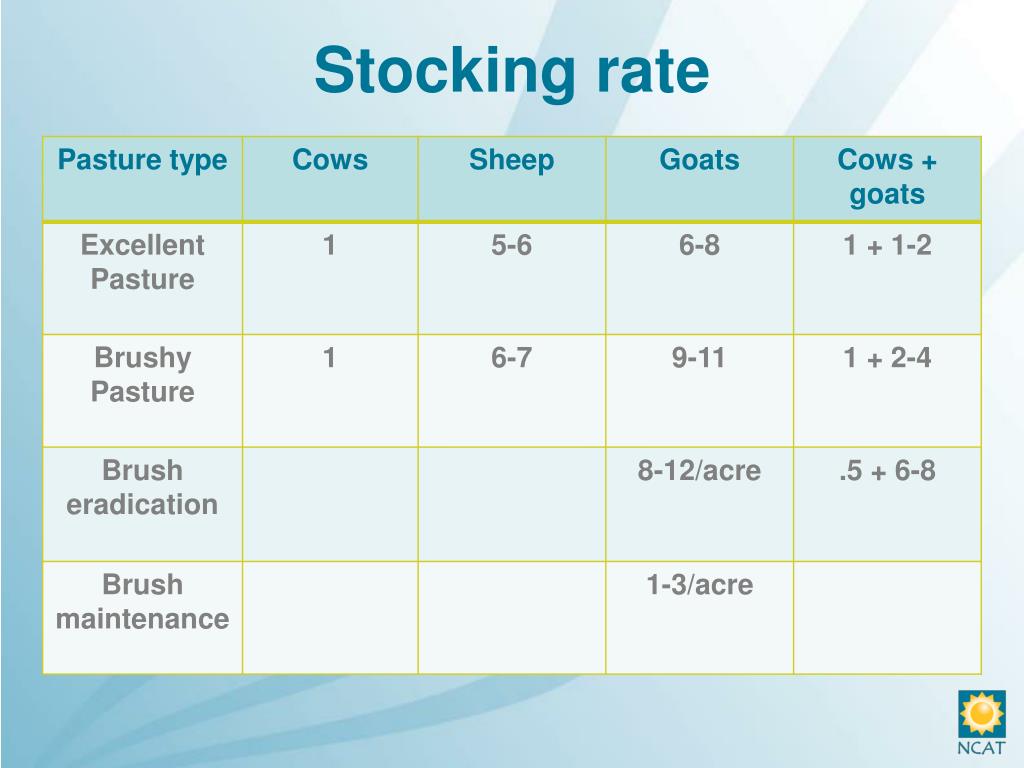 PPT Small Ruminant Production An Overview PowerPoint Presentation