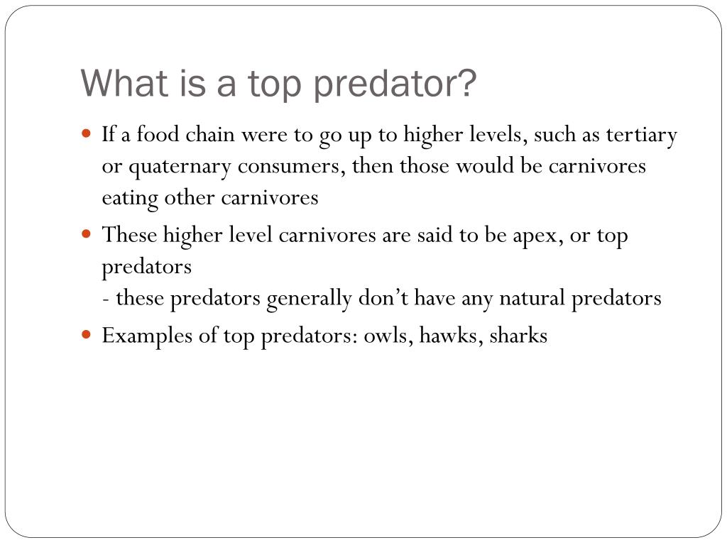 PPT Chapter 16 Ecosystems PowerPoint Presentation, free download