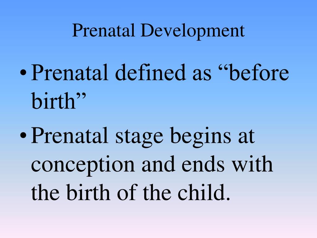 PPT Conception to Birth Prenatal Development PowerPoint Presentation