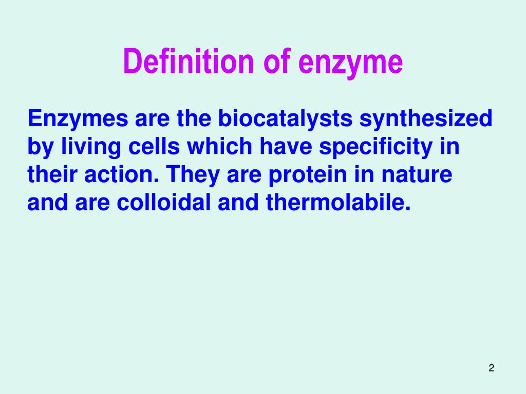 Enzyme Definition