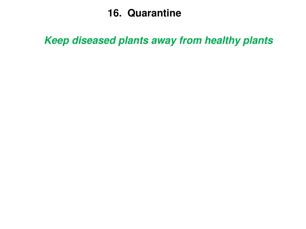 PPT Plant Disease PowerPoint Presentation, free download ID6203089