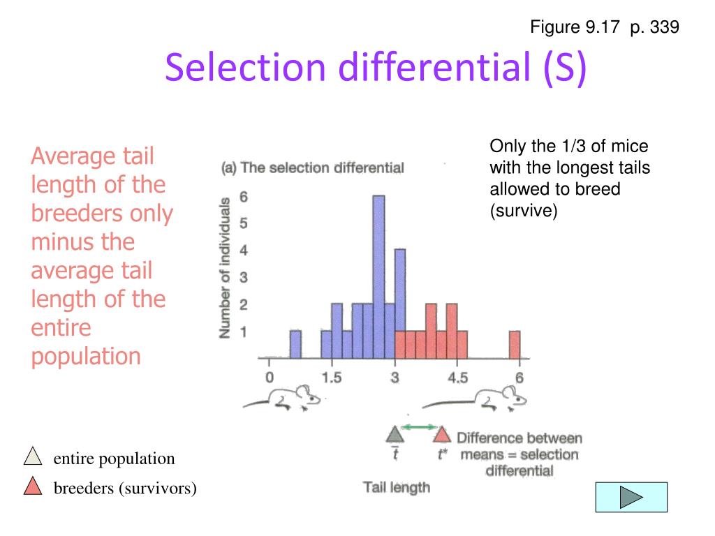 PPT Selection on Quantitative Traits PowerPoint Presentation, free