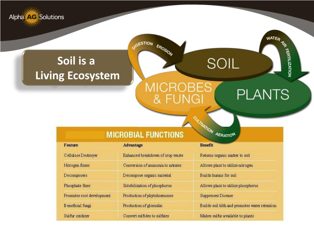 PPT Sustainable Agriculture & Soil Management PowerPoint Presentation