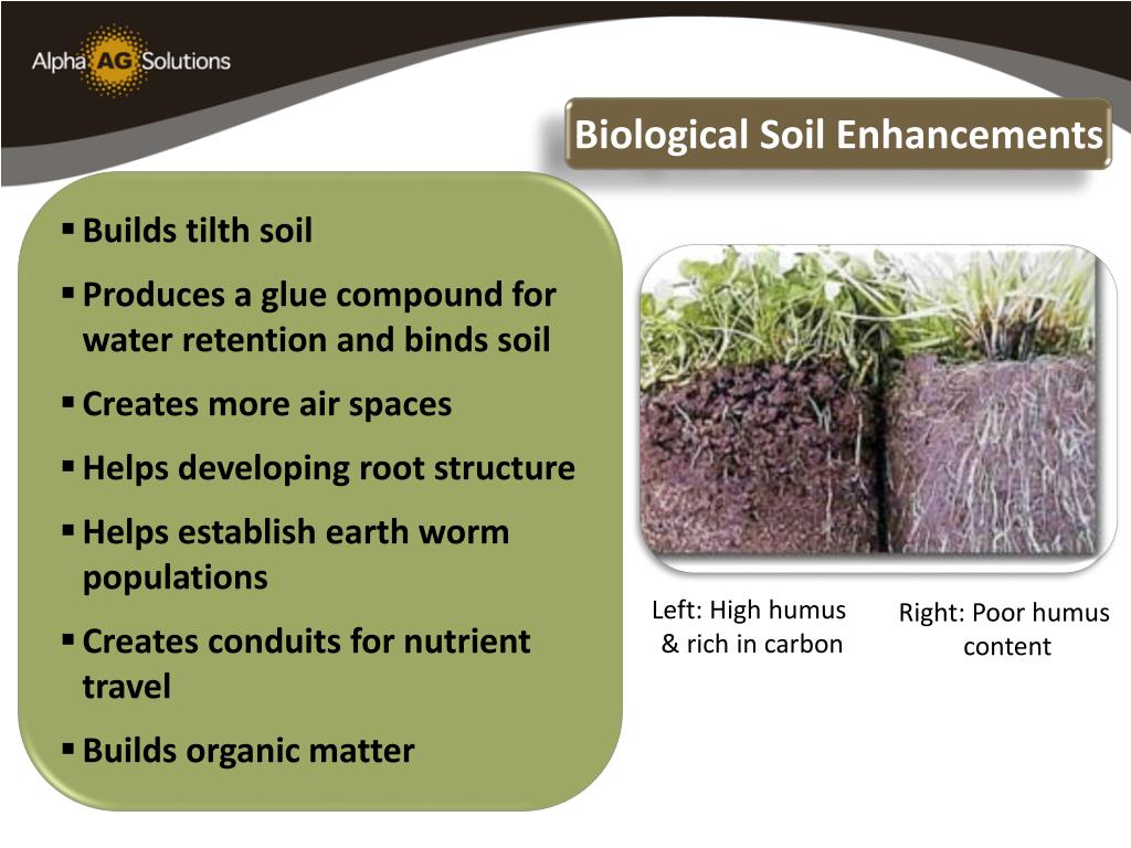 PPT Sustainable Agriculture & Soil Management PowerPoint Presentation