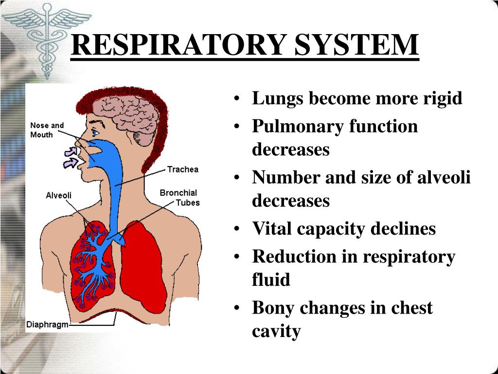 PPT PHYSICAL AGING PROCESS PowerPoint Presentation, free download