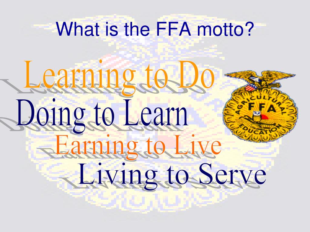 PPT - ffa PowerPoint Presentation, free download - ID:6210695