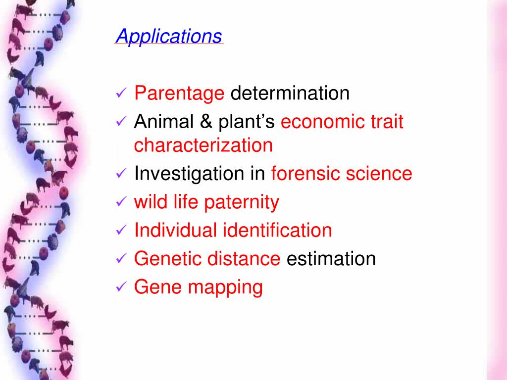PPT MOLECULAR MARKERS PowerPoint Presentation, free download ID6216697