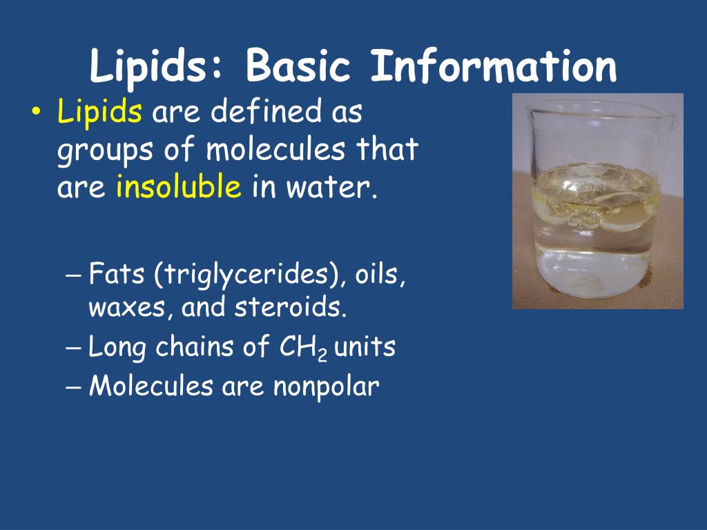 PPT Lipids & Nucleic Acids PowerPoint Presentation, free download