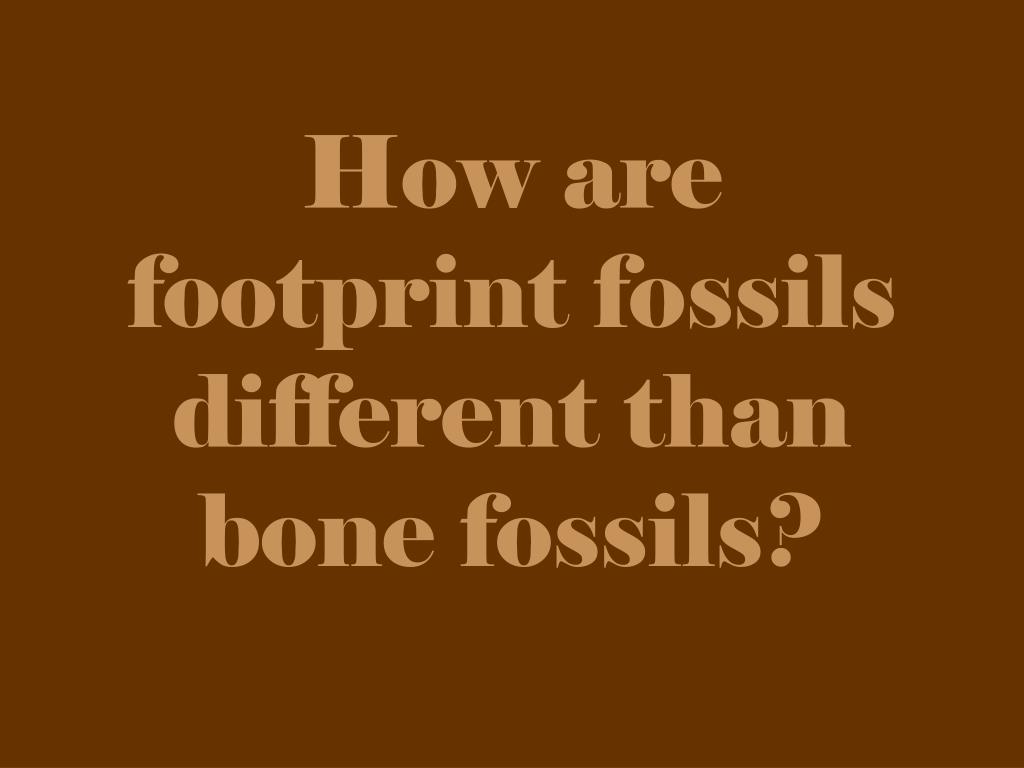 PPT Fossils PowerPoint Presentation, free download ID6219744