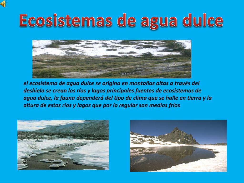 PPT Ecosistemas de agua dulce PowerPoint Presentation, free download