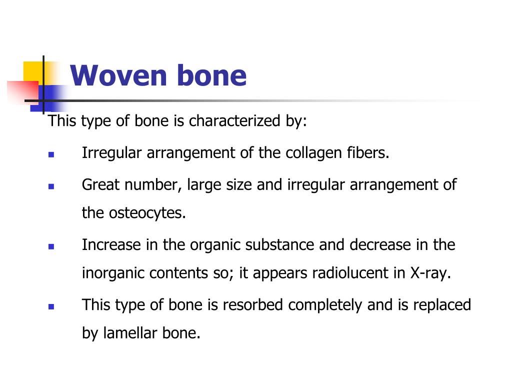 PPT Bone and alveolar bone PowerPoint Presentation, free download