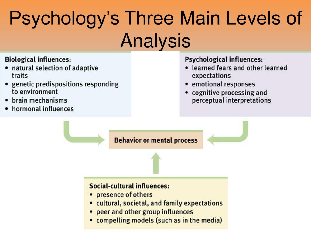 PPT Unit 1 Psychology’s History and Approaches PowerPoint