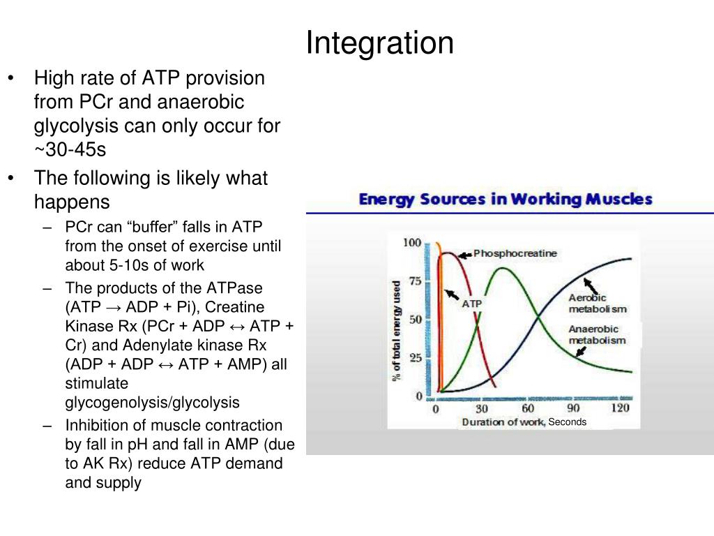 PPT Metabolic responses to highintensity exercise PowerPoint