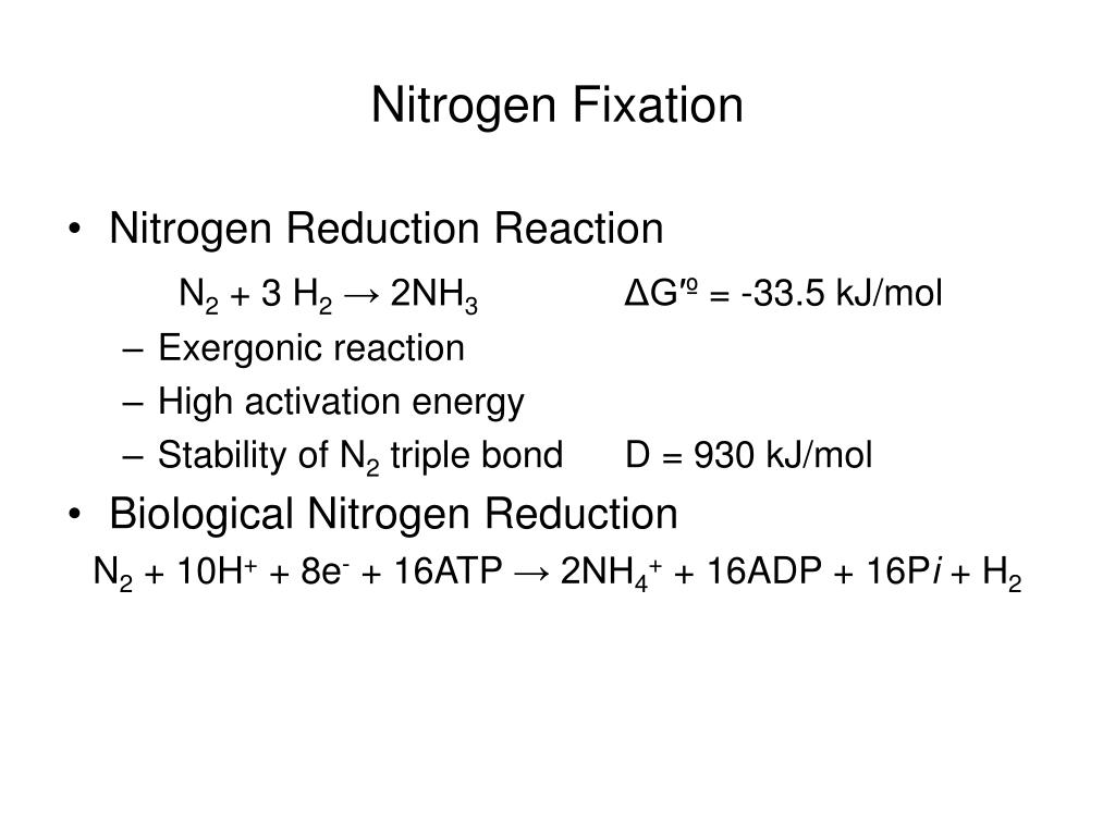 PPT Overview of Nitrogen Metabolism and Biosynthesis of Amino Acids
