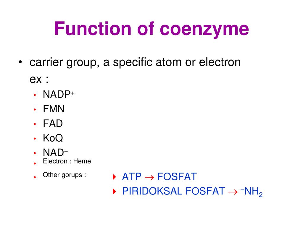 PPT Enzymes PowerPoint Presentation, free download ID6239084