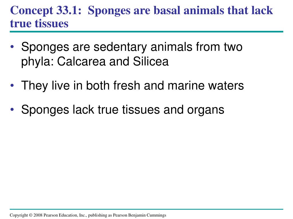 PPT Fig. 331 PowerPoint Presentation, free download ID6245526