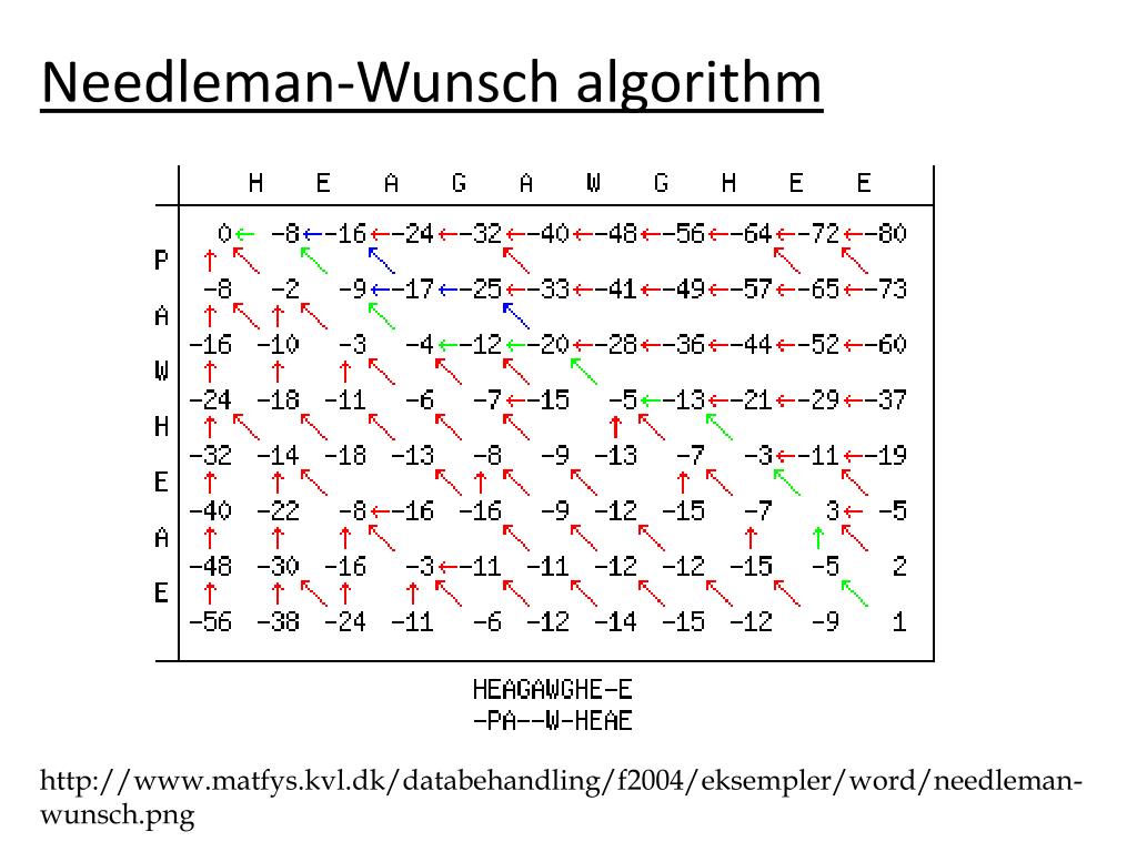 PPT Sequence Alignment by Dynamic Programming PowerPoint Presentation