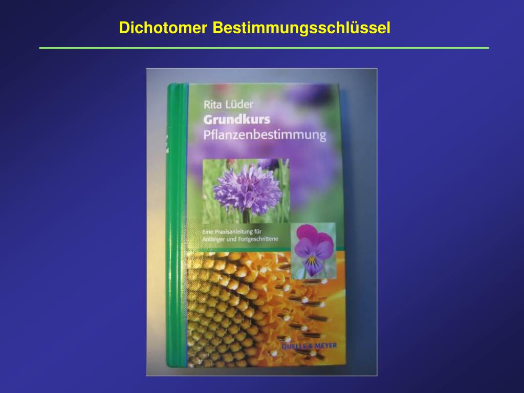 PPT Ziele des Kurses PowerPoint Presentation, free download ID6250937