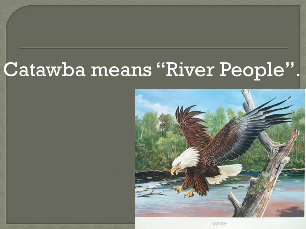 PPT Native Americans PowerPoint Presentation, free download ID6256145