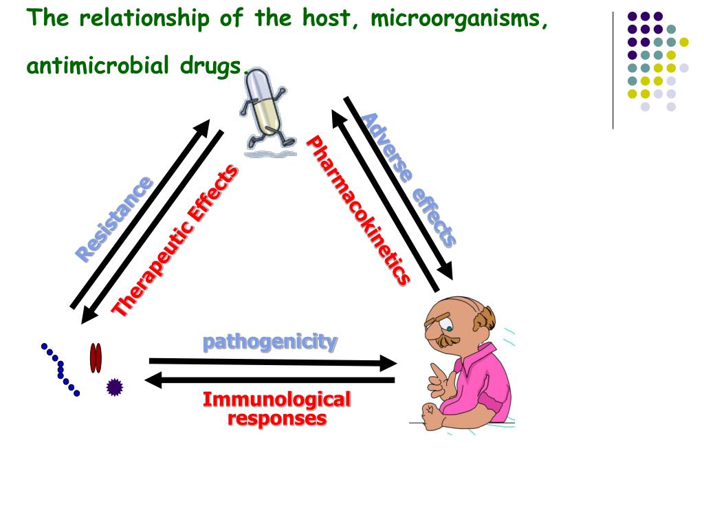 PPT Block Ⅴ pharmacology Chemotherapeutic drugs ( 化学治疗药物