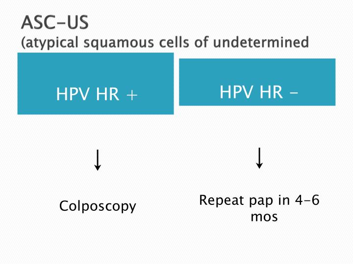 PPT Human Papillomavirus and cancer PowerPoint Presentation ID6265309