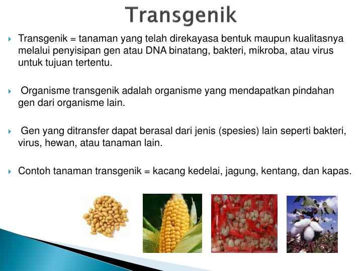 PPT REKOMBINASI REKAYASA (REKAYASA PowerPoint Presentation