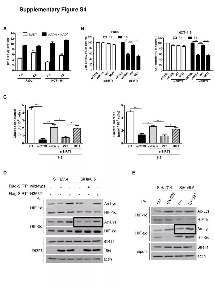 PPT ctrl PowerPoint Presentation, free download ID6286721