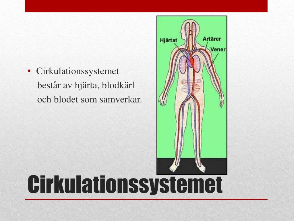 PPT Blodomloppet PowerPoint Presentation, free download ID6292663
