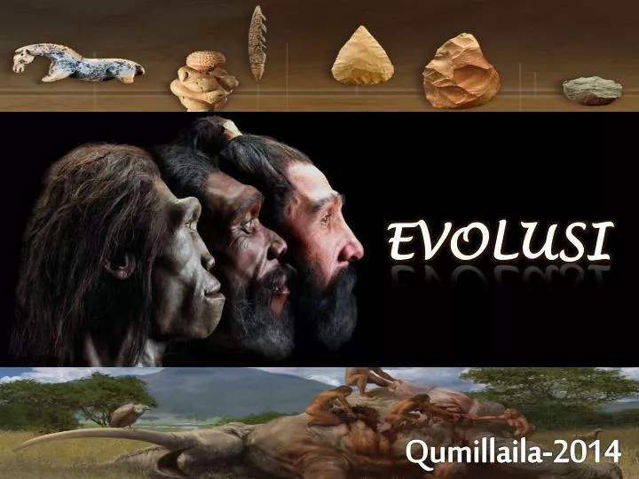 PPT EVOLUSI PowerPoint Presentation, free download ID