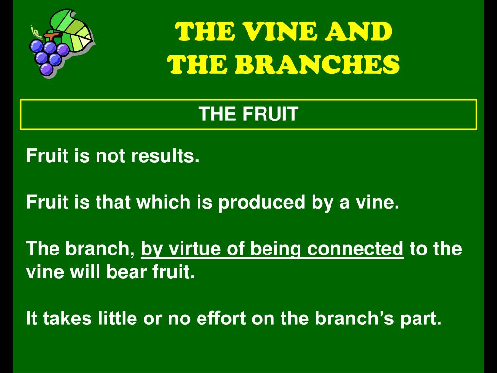 PPT THE VINE AND THE BRANCHES PowerPoint Presentation, free download