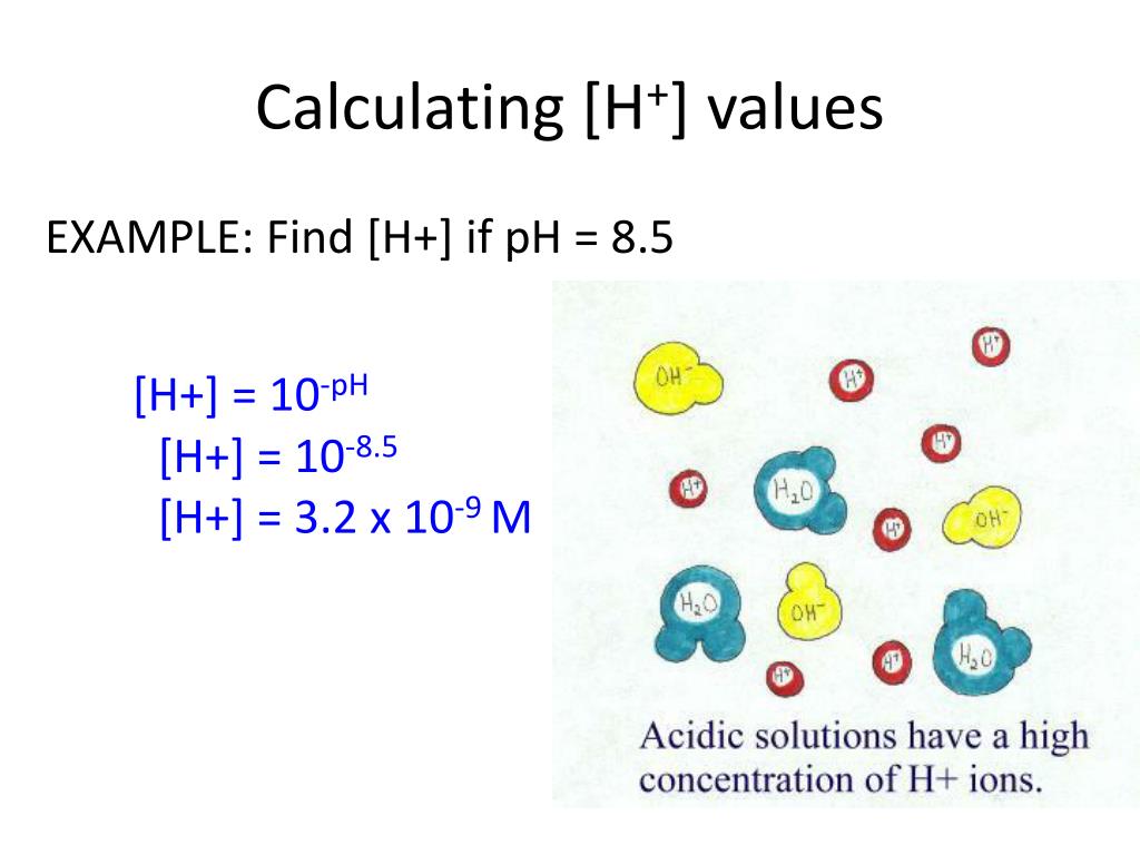 PPT pH and pOH PowerPoint Presentation, free download ID6301167