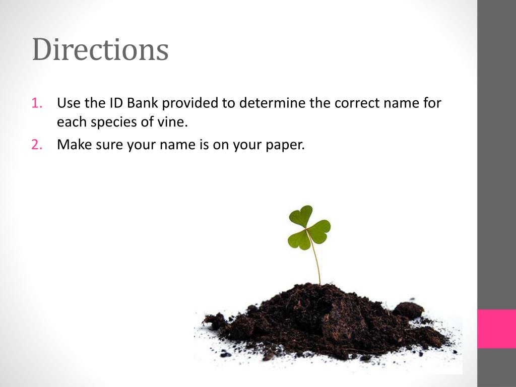 PPT Plant Science VINE ID TEST PowerPoint Presentation, free download ID6301618
