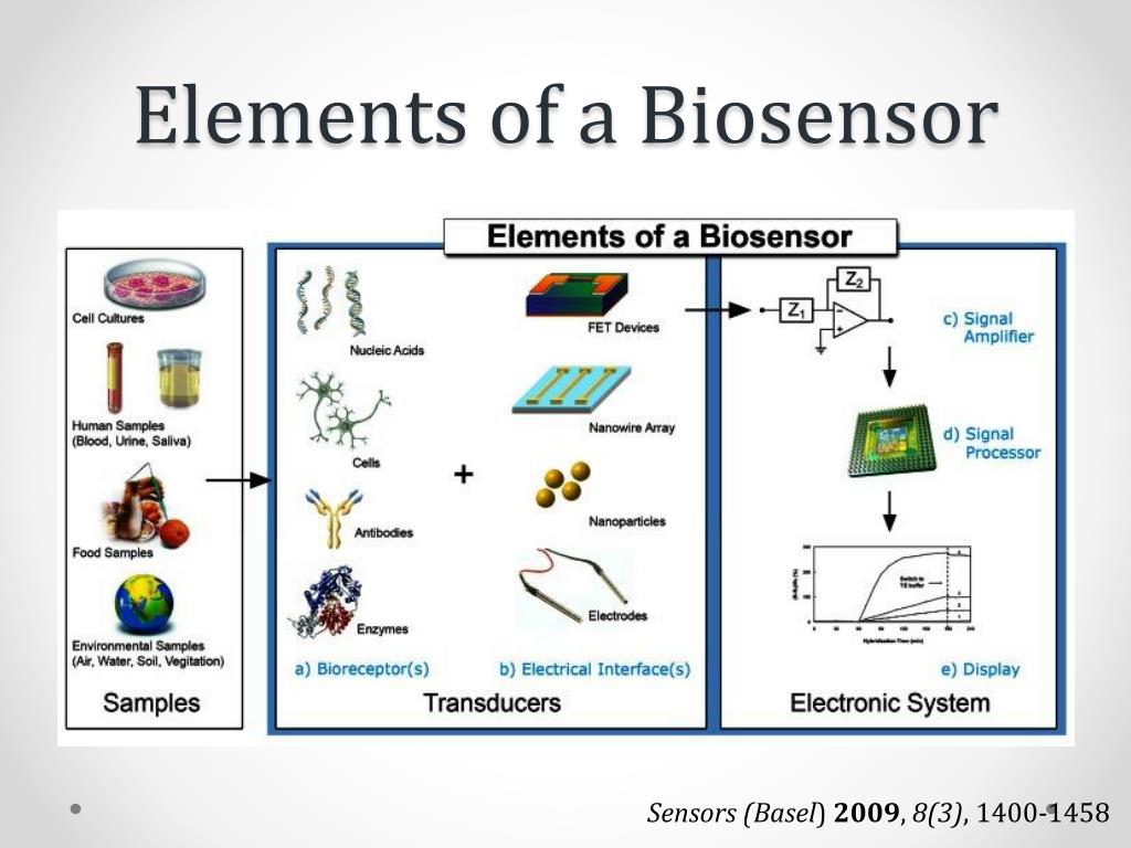 PPT Electrochemical Sensors for Biomolecules PowerPoint Presentation